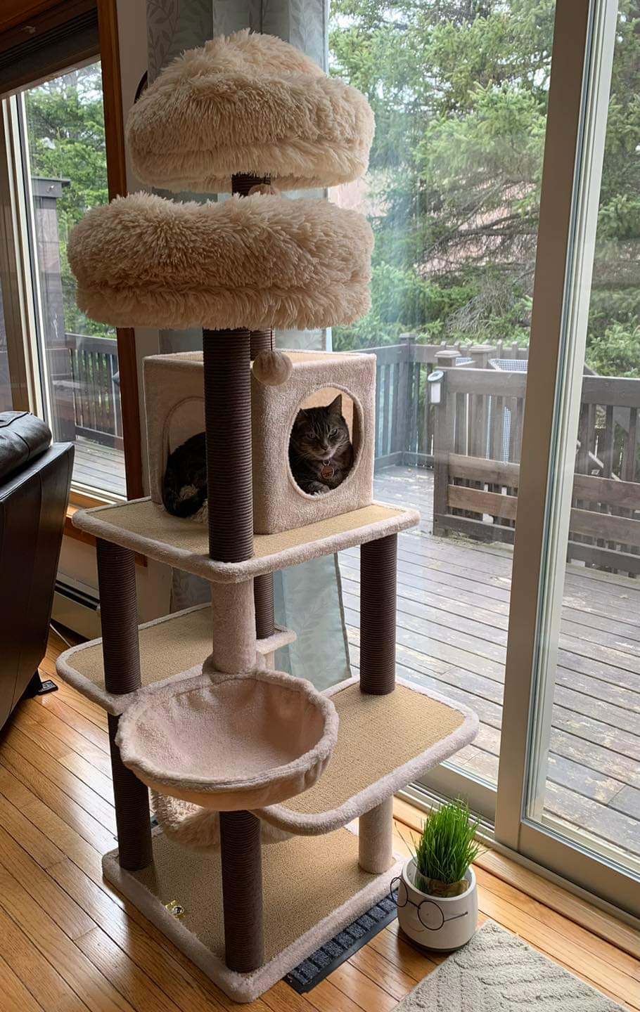 Catry Babylon 7-Level Cat Tree | PetPals Group