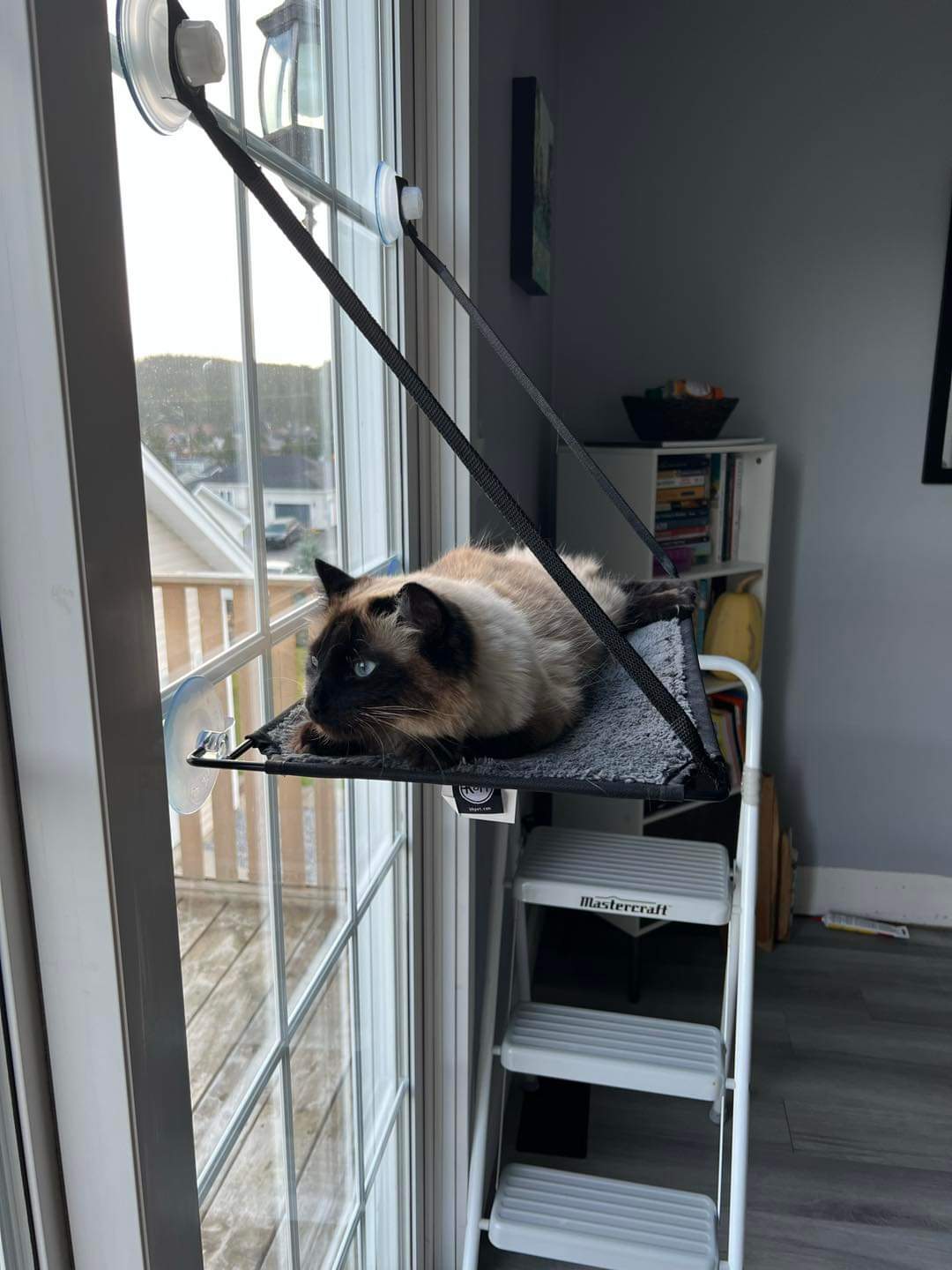 EZ Window Mount Kitty Sill | K&H Pet Products
