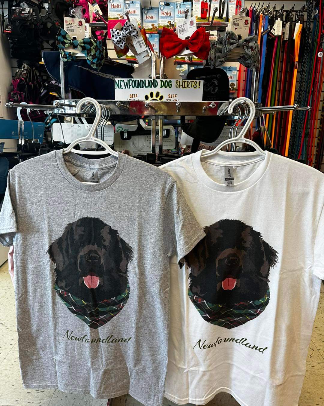 Newfoundland Dog T-Shirt (Unisex)