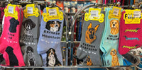 Human Socks (Bernese Mountain Dog) | Foozys