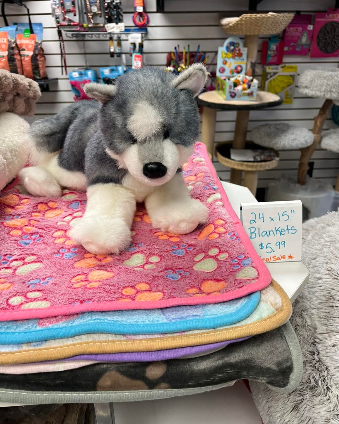 Small Blanket (24"x15") | Luciphia