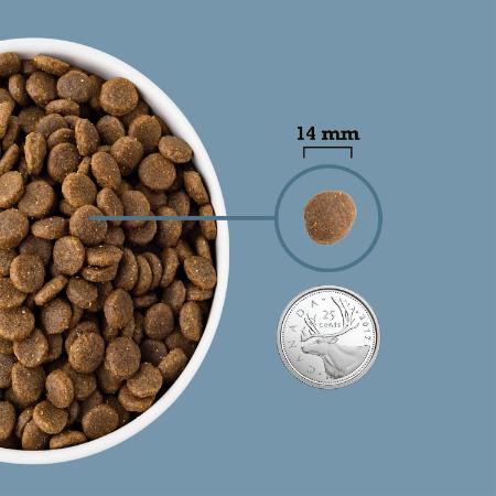 Healthy Grains Sea To Stream Recipe | Acana