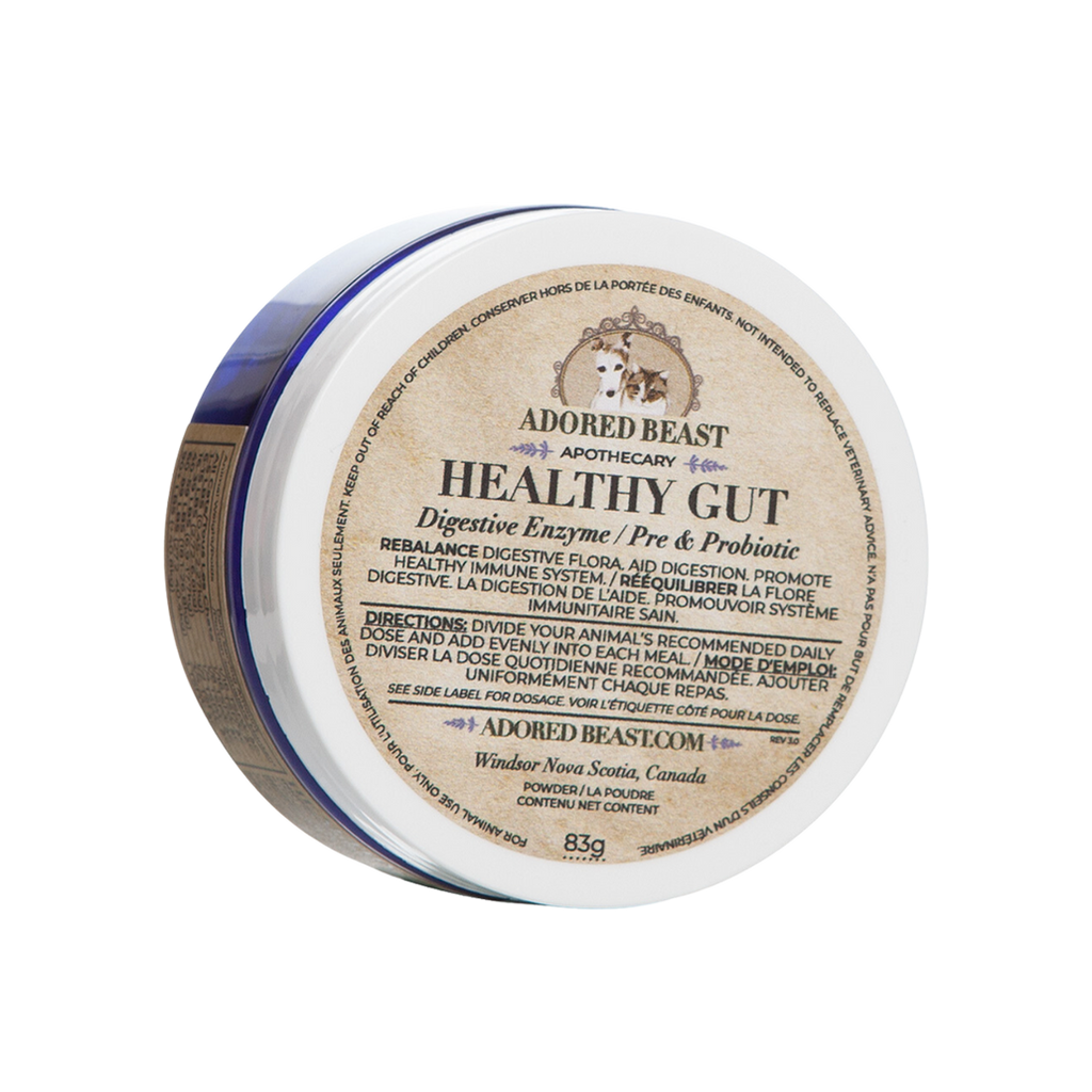 Healthy Gut (Digestive Enzymes + Pre & Probiotic, 83g) | Adored Beast Apothecary