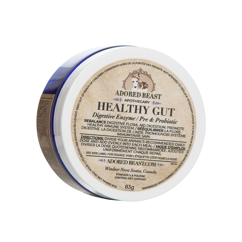 Healthy Gut (Digestive Enzymes + Pre & Probiotic, 83g) | Adored Beast Apothecary