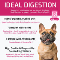 Veterinarian Formulated Dog Food (Ideal Digestion) | Square Pet