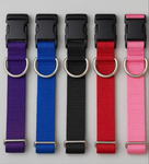 Solid Colour Collar (Assorted Colours) | Your Paws Only