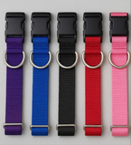 Solid Colour Collar (Assorted Colours) | Your Paws Only