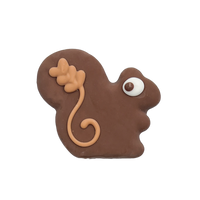 Squirrel Cookie | Bosco & Roxy's