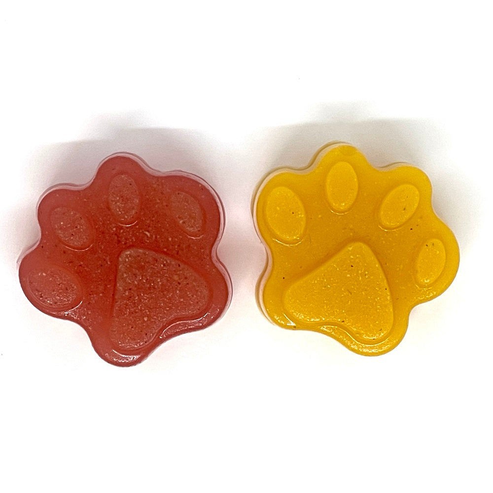 Dogtastic Paw Print Treat Mold | SodaPup