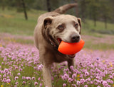 Indestructible Rubber Football (Assorted Colours) | Ruff Dawg