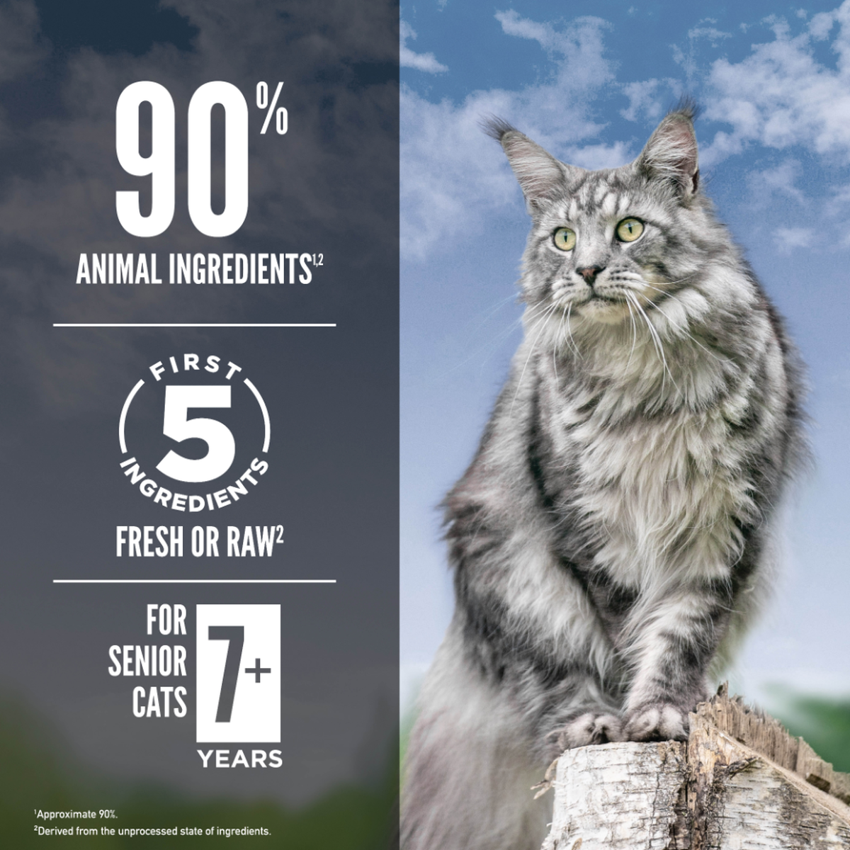 Guardian 8 Senior Cat Food | Orijen