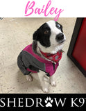 Chinook Dog Coat (Fushia) | Shedrow K9