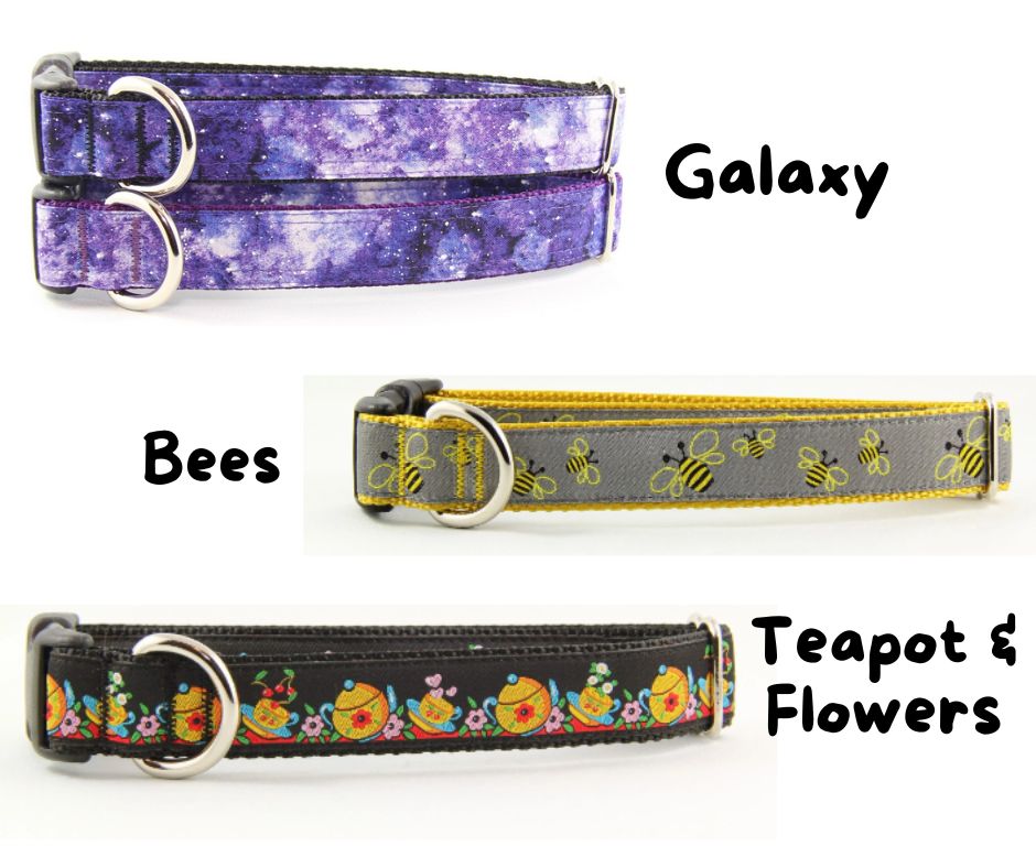 Newfoundland Made Dog Collars | Your Paws Only