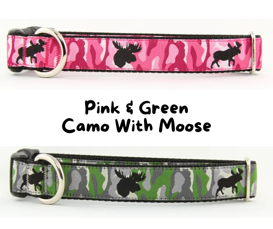 Newfoundland Made Dog Collars | Your Paws Only