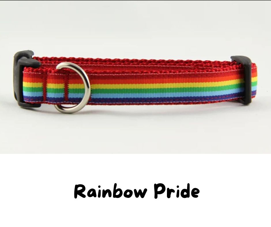 Newfoundland Made Dog Collars | Your Paws Only