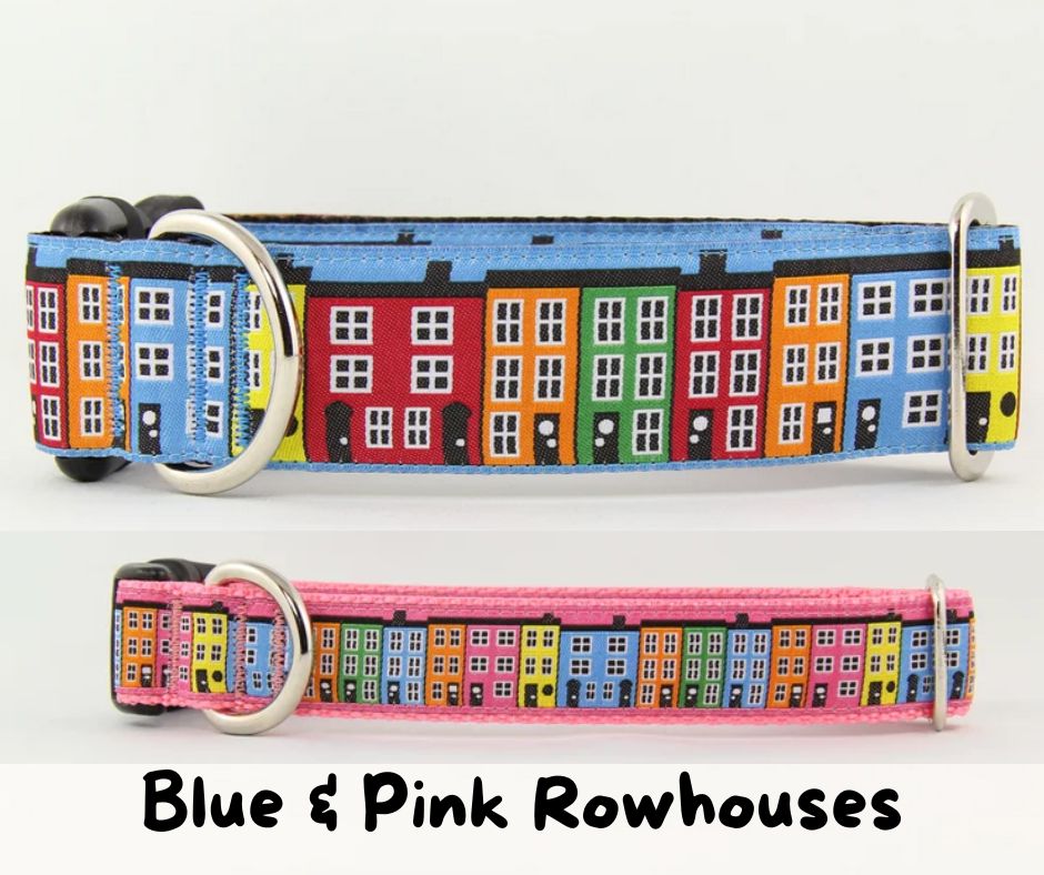Newfoundland Made Dog Collars | Your Paws Only