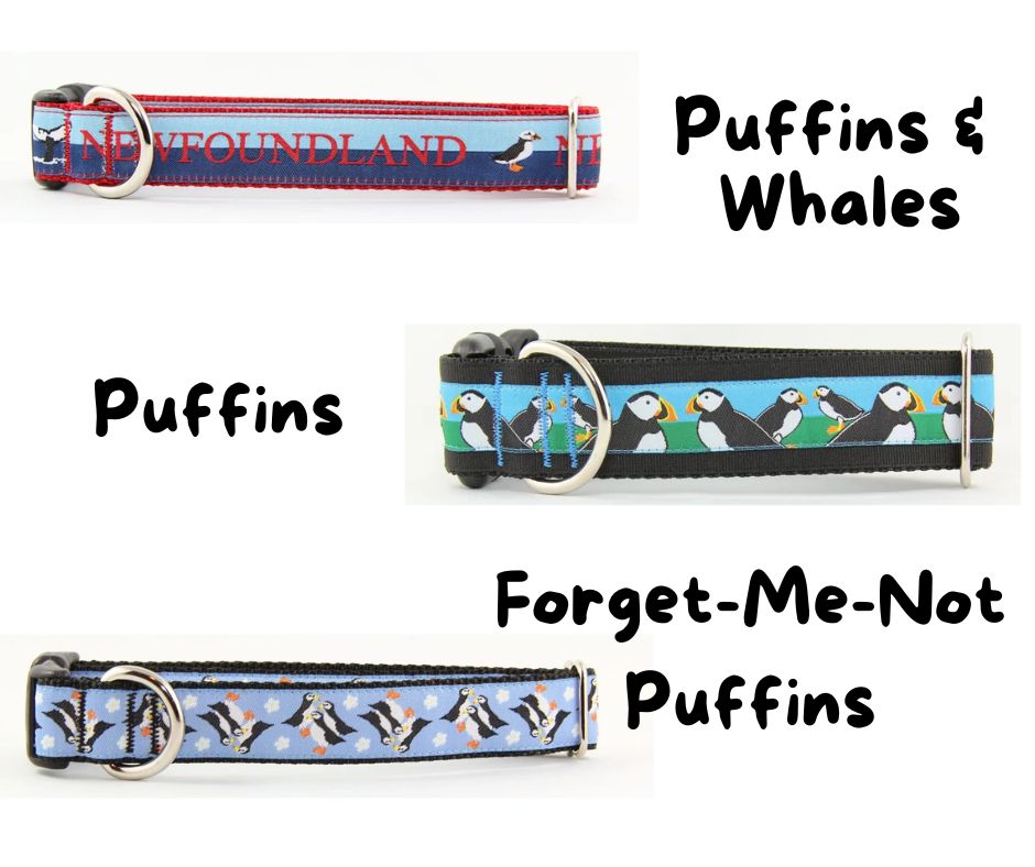Newfoundland Made Dog Collars | Your Paws Only
