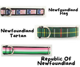 Newfoundland Made Dog Collars | Your Paws Only