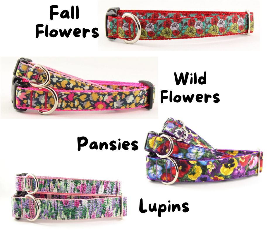Newfoundland Made Dog Collars | Your Paws Only