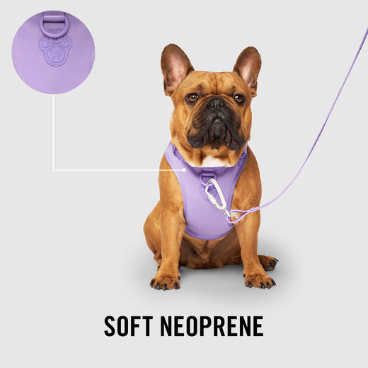 Neoprene Everything Harness With Poop Bag Dispenser (Lavender) | Canada Pooch