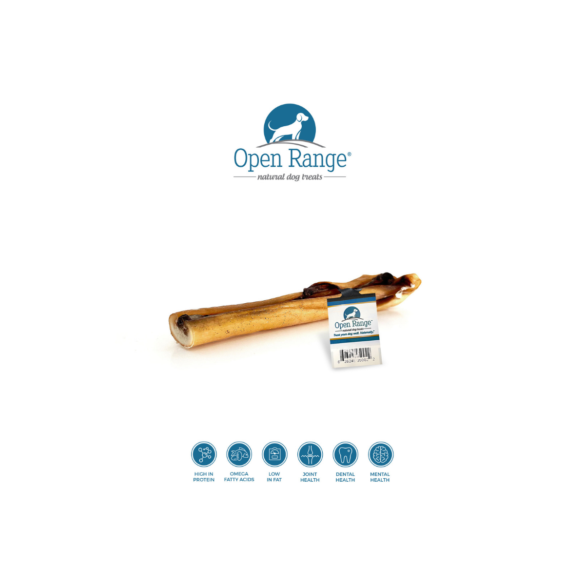 Cheeky Bully Stick (8-10") | Open Range