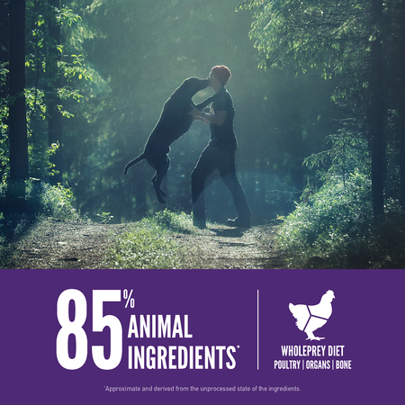 Large Breed Adult Dog Food (25lbs) | Orijen