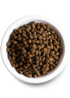 Ancient Grains Grass-Fed Beef Dog Food (22lb) | Open Farm