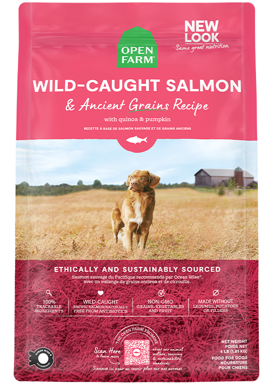 Ancient Grains Wild-Caught Salmon Dog Food (22lb) | Open Farm