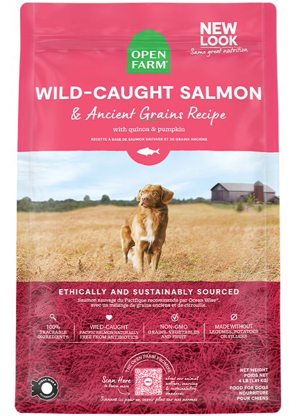 Ancient Grains Wild-Caught Salmon Dog Food (22lb) | Open Farm