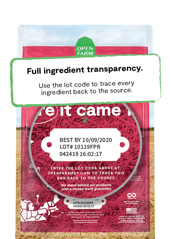 Ancient Grains Wild-Caught Salmon Dog Food (22lb) | Open Farm