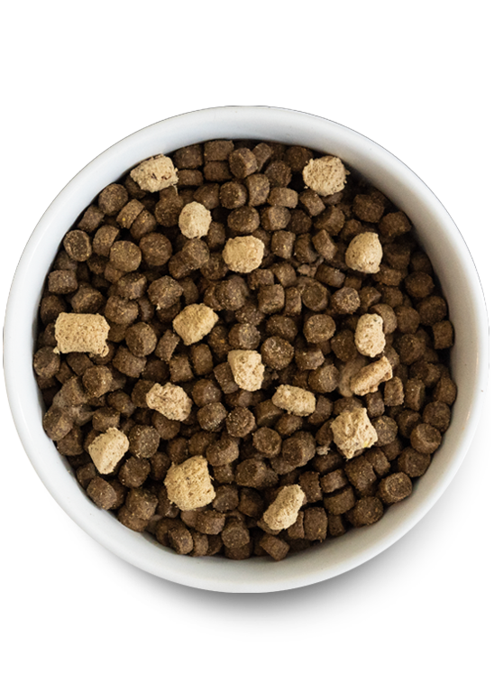 RawMix Ancient Grains Front Range Dog Food (3.5lb) | Open Farm