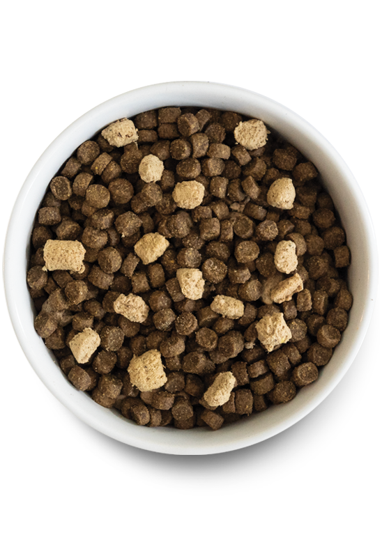 RawMix Ancient Grains Tide & Terrain Dog Food (22lb) | Open Farm