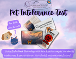 Pet Intolerance Test (Allergy Test) | Glacier Peak Holistics