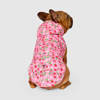 Pick Me Poncho (Strawberries, Size 14) | Canada Pooch