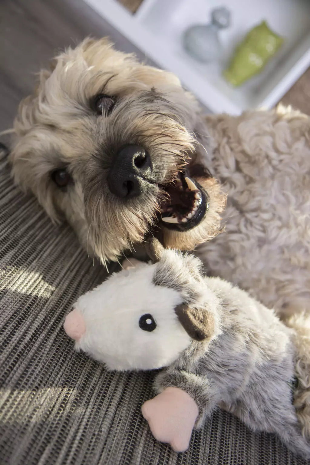 Flatz Opossum Dog Toy (Small) | goDog