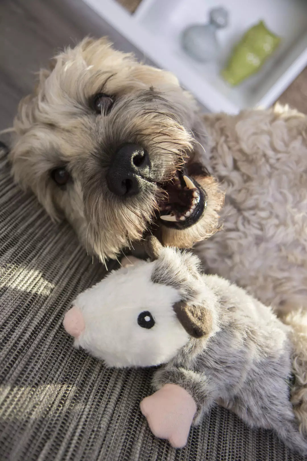 Flatz Opossum Dog Toy (Small) | goDog