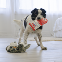 Comfort Pups Dog Toy (Ozzie, Medium) | KONG