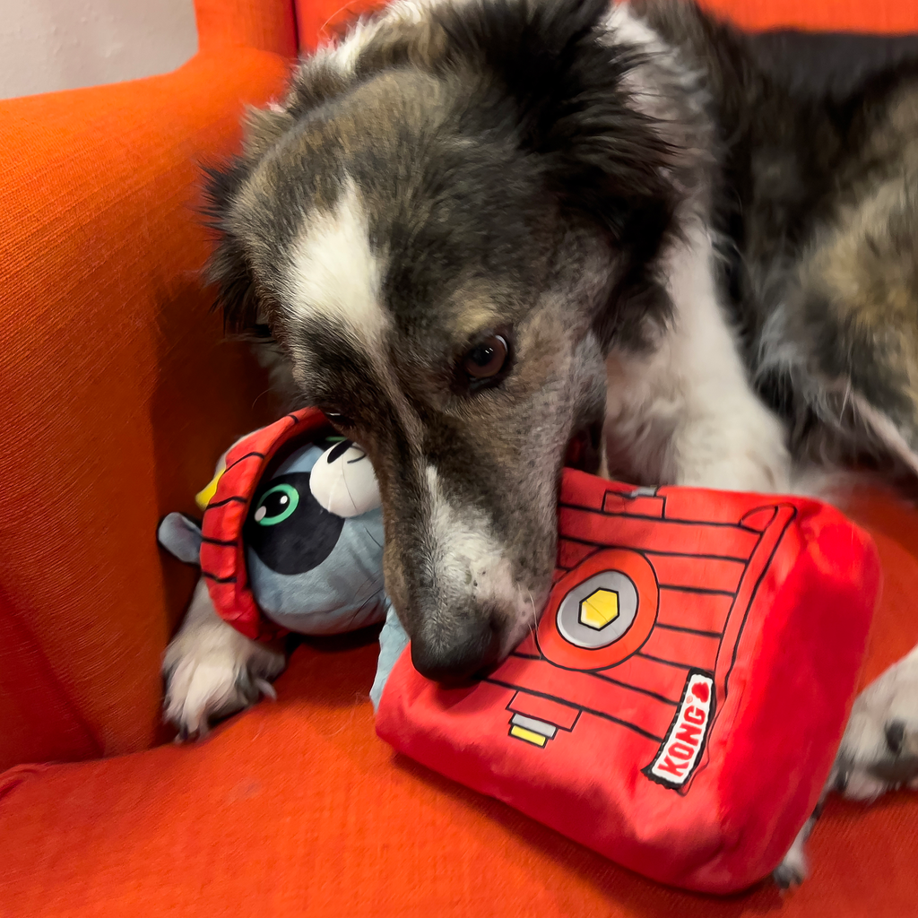 Puzzlements Surprise Fire Hydrant 2-In-1 Toy | KONG