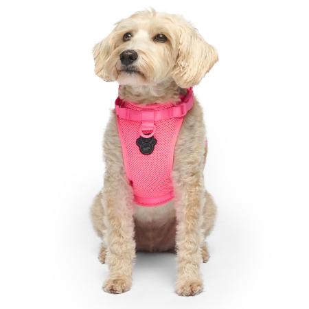 Everything Harness (Neon Pink) | Canada Pooch