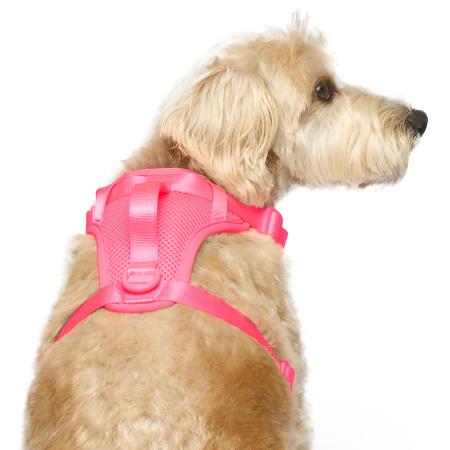Everything Harness (Neon Pink) | Canada Pooch
