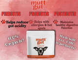 All Natural 3-in-1 Pre, Pro, & Postbiotic & Immune Support Supplement | MuttGutt