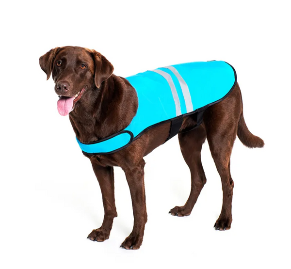 Cooling Safety Vest (Blue, Large) | Zippy Paws