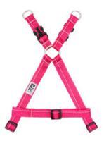 Primary Step-In Harness (Small) | RC Pets