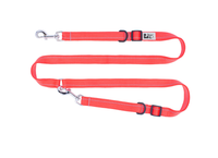 Primary Collection Active Dog Leash (1") | RC Pets