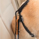 Seat Belt Tether (Blue) | Kurgo