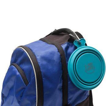 Silicone Collapsible Bowl (Large, Teal) | Messy Pets