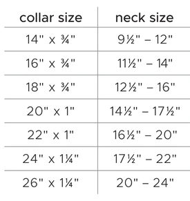 Alpine Leather Dog Collar | Angel Pet Supplies