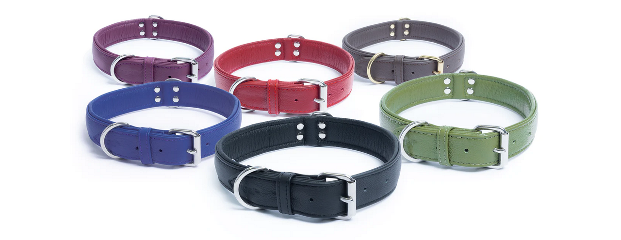 Alpine Leather Dog Collar | Angel Pet Supplies