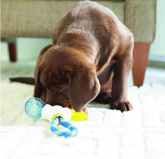 Puppy Connects Toy | JW