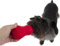 Tumble Teez Dog Toy (Medium) | JW